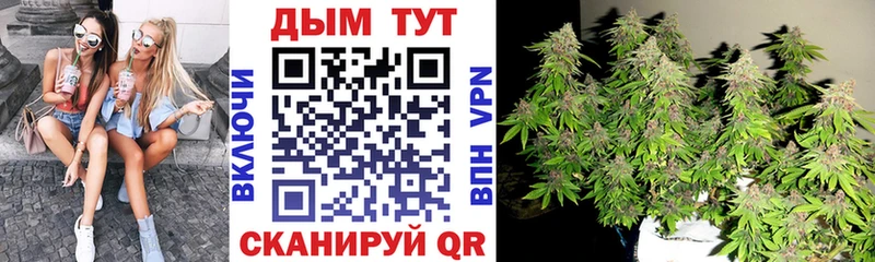 MEGA зеркало  Лесозаводск  Конопля OG Kush 
